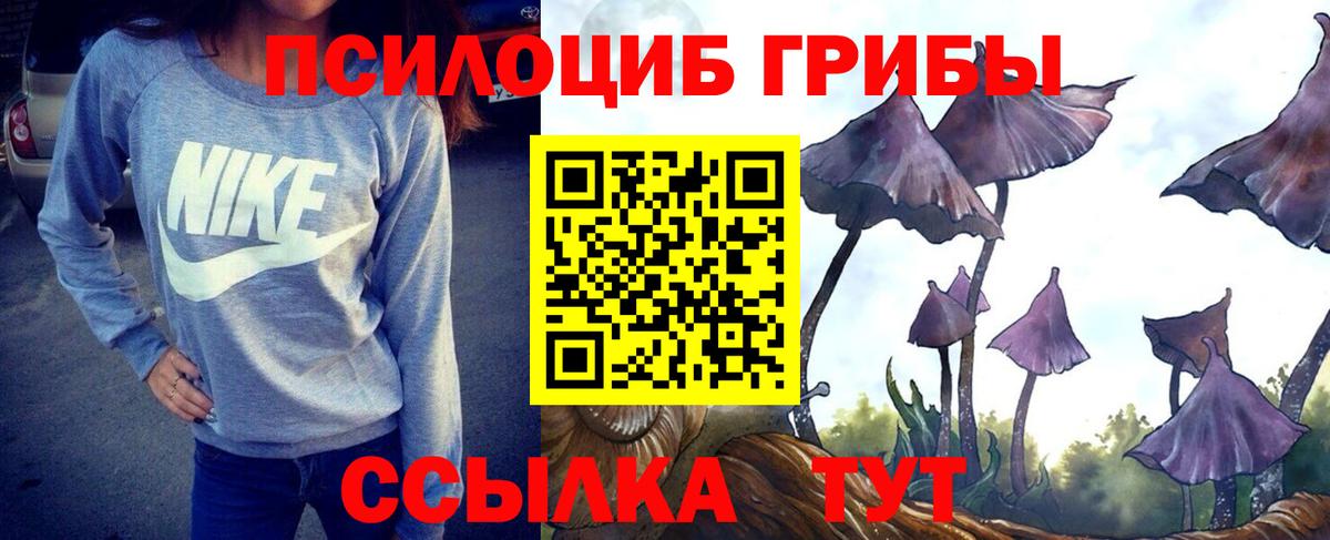 Галлюциногенные грибы Psilocybine cubensis  Вход с VPN  Видное 